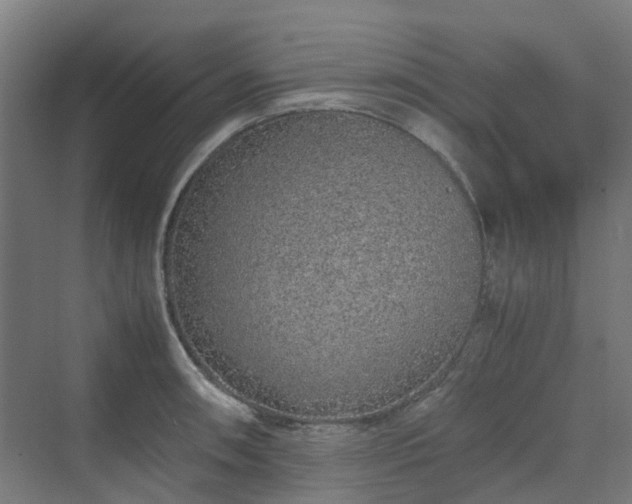 X0000070231090200606021341