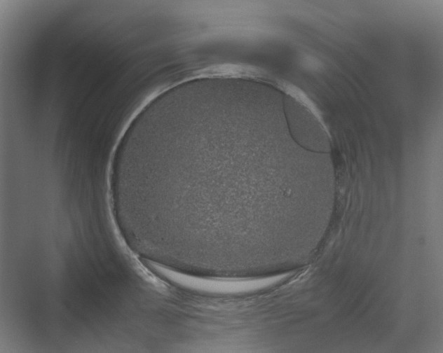 X0000070231091200606021341