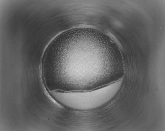 X0000070231092200606021341