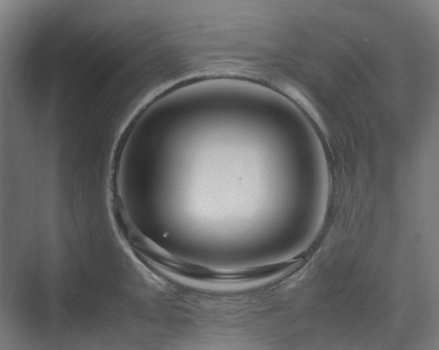 X0000070231093200606021341