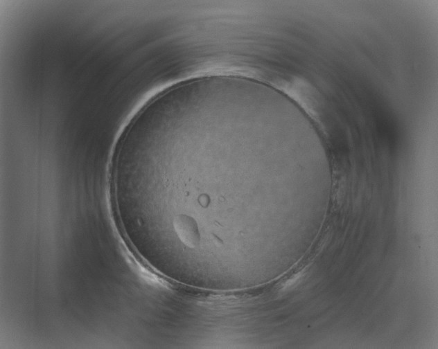 X0000070231094200606021341