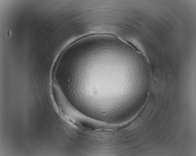 X0000070231096200606021341