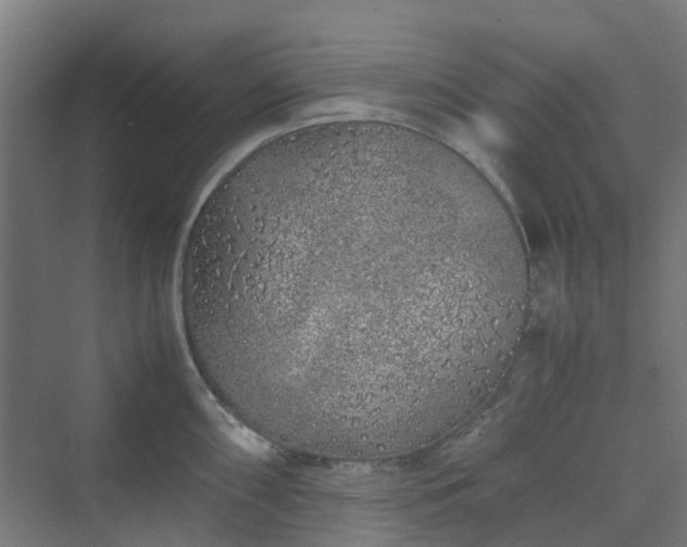 X0000070231098200606021341