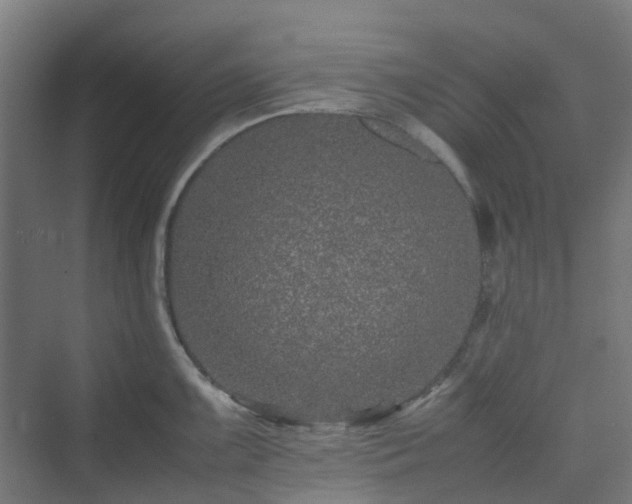 X0000070231099200606021341