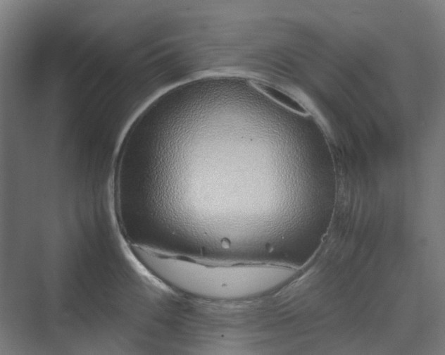 X0000070231100200606021341