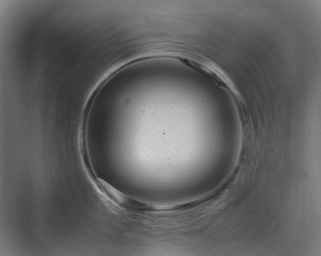 X0000070231101200606021341