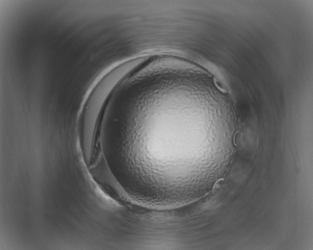 X0000070231102200606021341