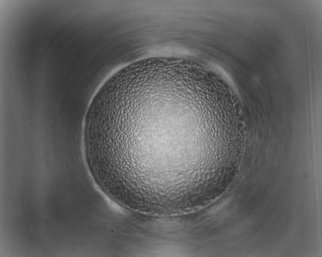 X0000070231103200606021341