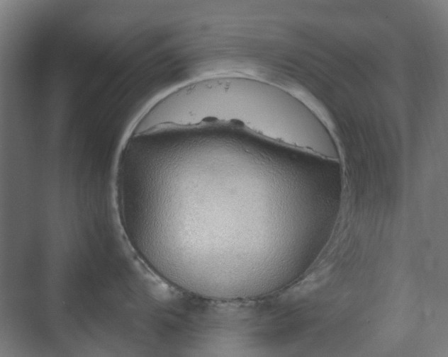 X0000070231104200606021341