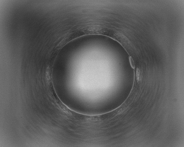 X0000070231107200606021340