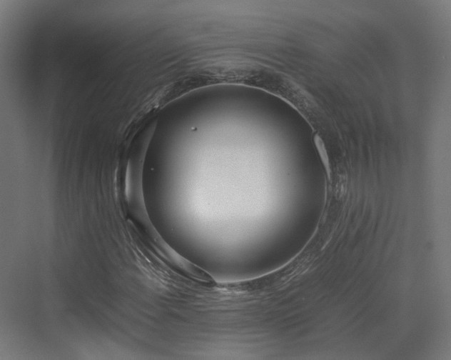 X0000070231108200606021340