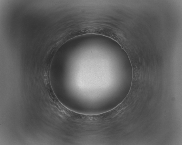 X0000070231109200606021340