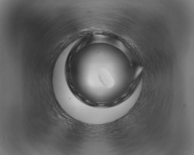 X0000070231110200606021340