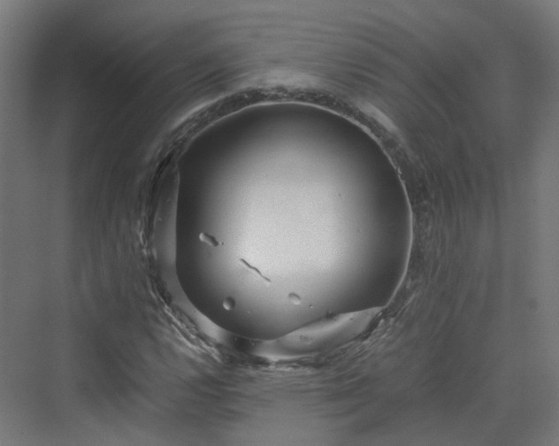 X0000070231112200606021340