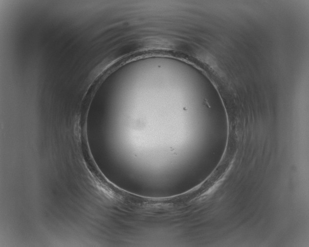 X0000070231113200606021340