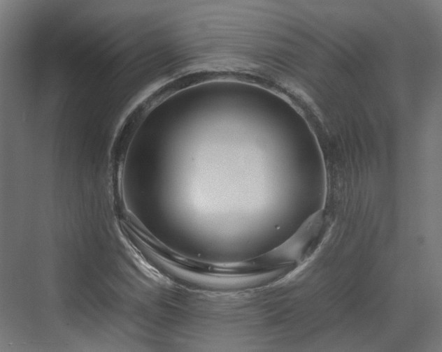 X0000070231114200606021340