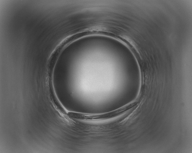 X0000070231115200606021340