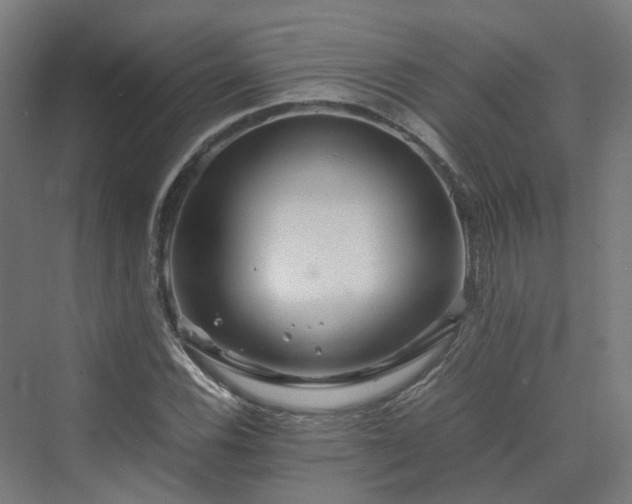 X0000070231116200606021340