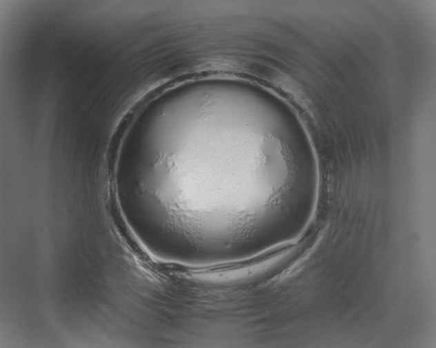 X0000070231117200606021340