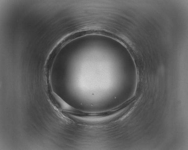 X0000070231118200606021340