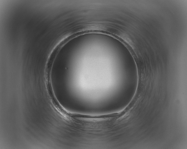 X0000070231119200606021340