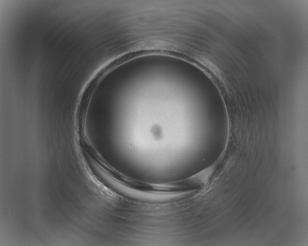 X0000070231120200606021340