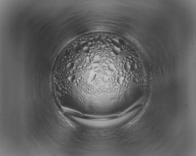 X0000070231121200606021340