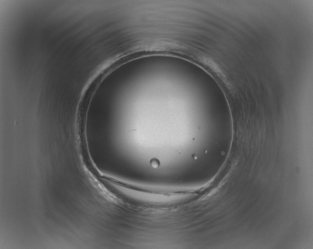 X0000070231122200606021340