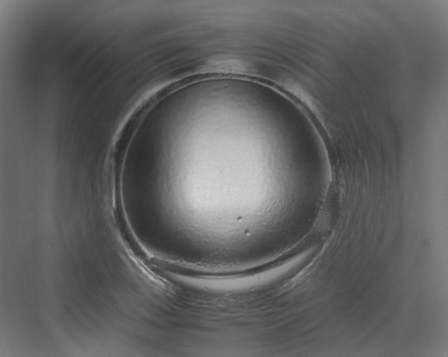 X0000070231123200606021340