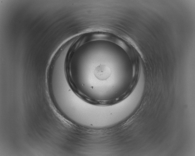 X0000070231124200606021340