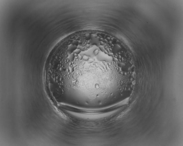 X0000070231125200606021340