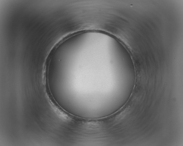 X0000070231126200606021340