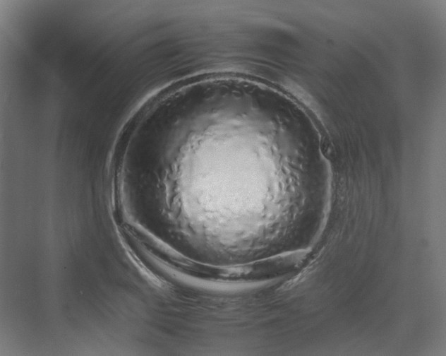 X0000070231127200606021340