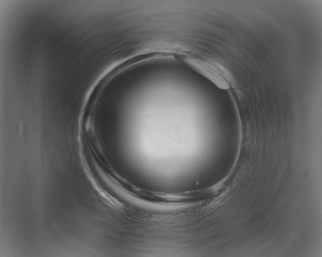 X0000070231128200606021340