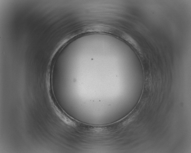 X0000070231130200606021340