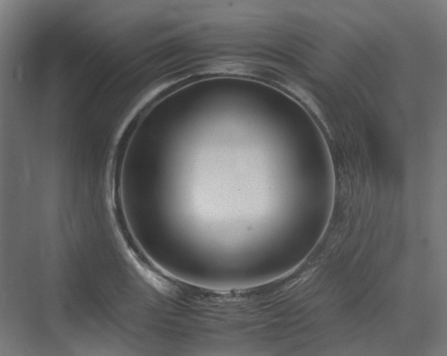 X0000070231131200606021340