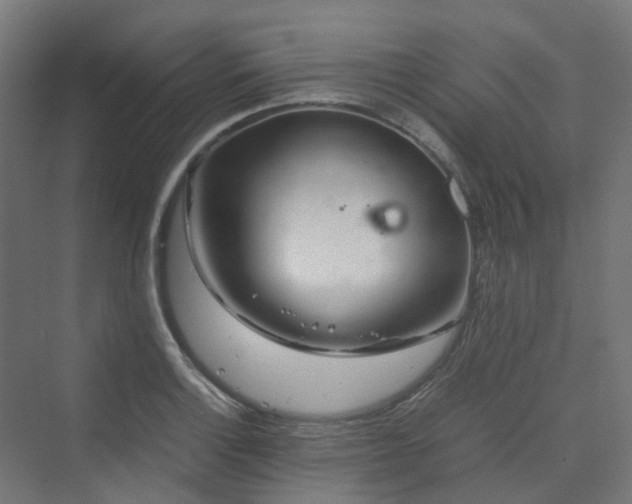 X0000070231132200606021340