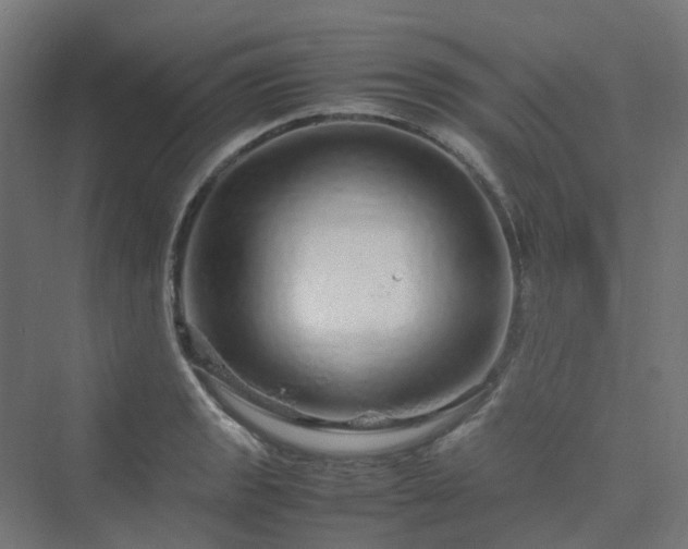 X0000070231133200606021340