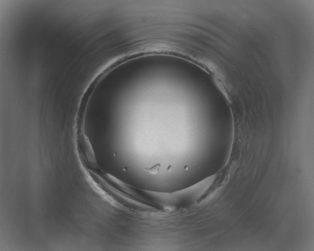 X0000070231134200606021340