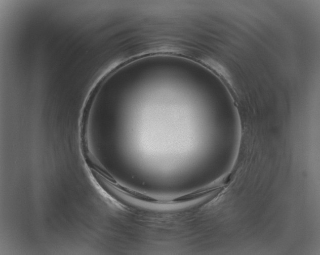 X0000070231135200606021340