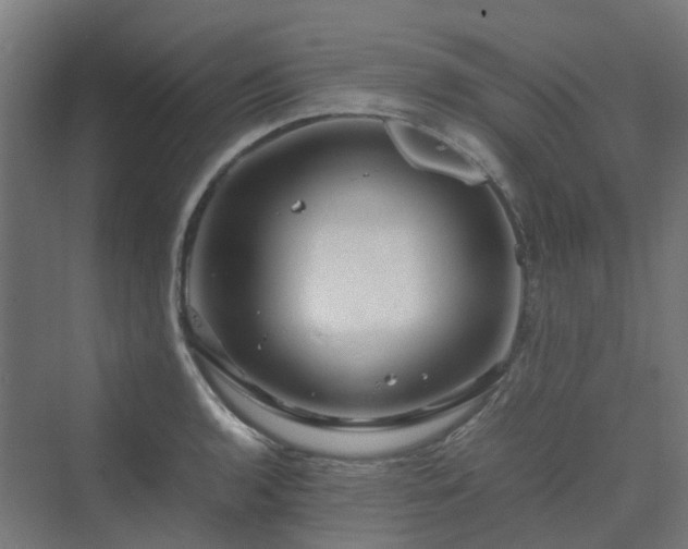 X0000070231136200606021340