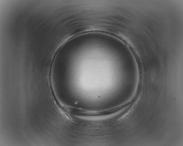 X0000070231137200606021340