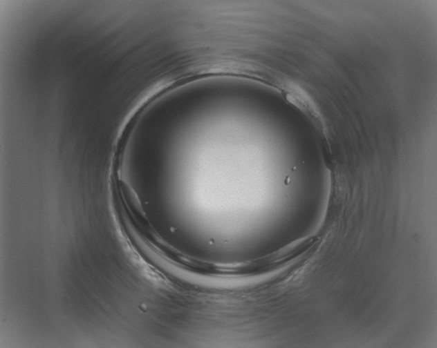 X0000070231138200606021340