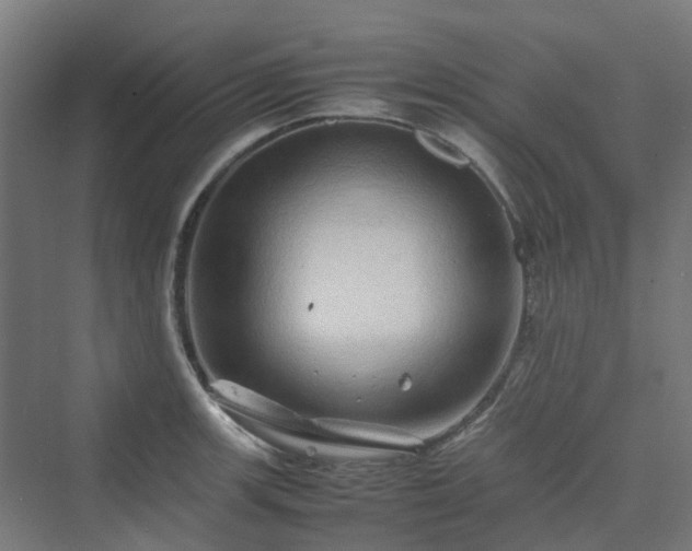 X0000070231139200606021340