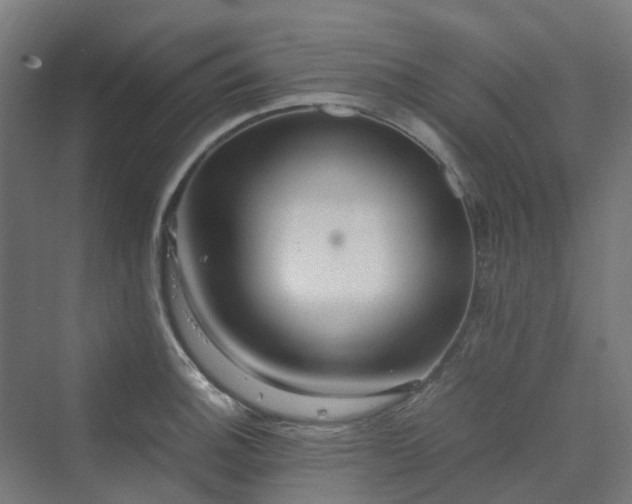 X0000070231140200606021340