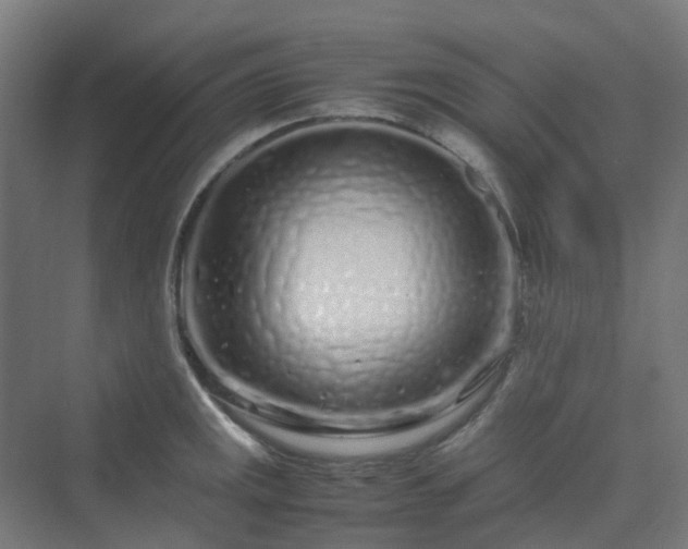 X0000070231141200606021340