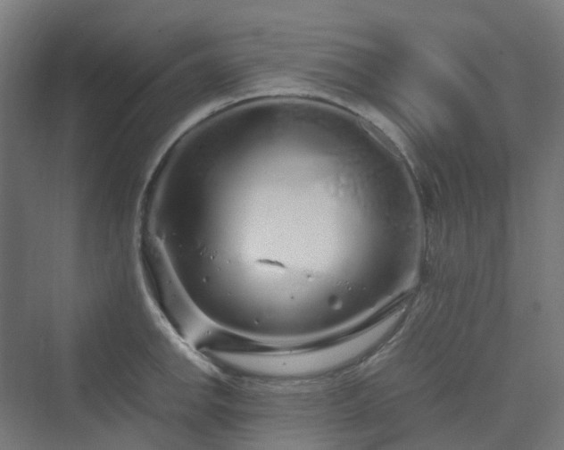 X0000070231142200606021340