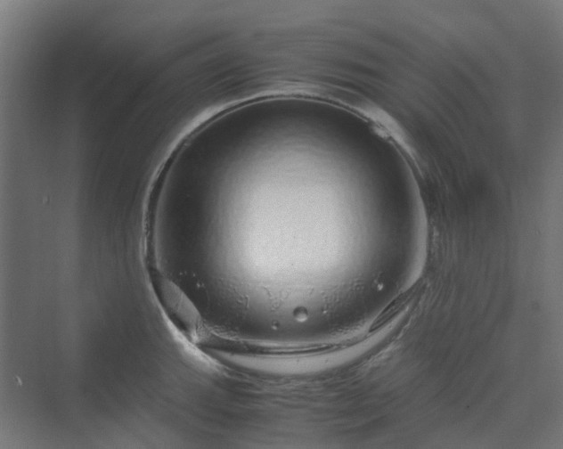 X0000070231143200606021340