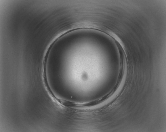 X0000070231144200606021340