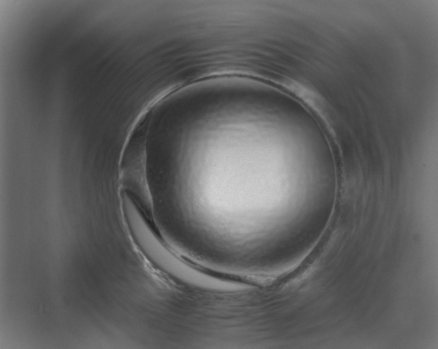 X0000070231145200606021340